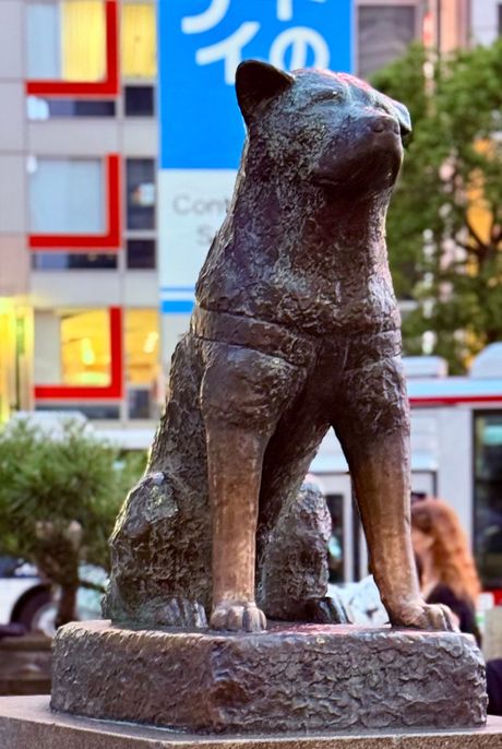 渋谷駅前に座る秋田犬ハチ公の銅像